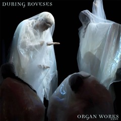 During Roveses Organ Works