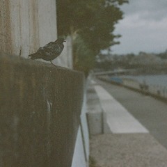Film 63