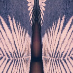 Techno Junkie #041 | Max Air