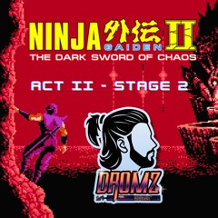 Ninja Gaiden II Act II Stage 2 COVER