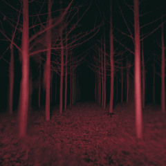 two parallel worlds yet to cross . . .