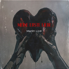 Meine Erste Liebe (feat. Merlin Live)