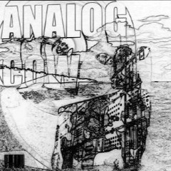 130 x 22 - ANALOG COW vol.4