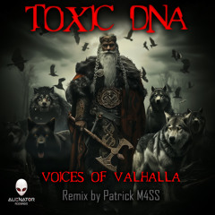 Toxic D.N.A - Voices of Valhalla (Original Mix)