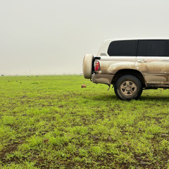 نايف بحور ياكوس شني