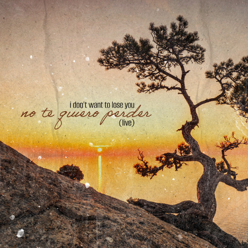 No Te Quiero Perder (I Don't Want To Lose You) (Live) - David, Tanis