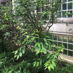 Tytt - Those Treats for Bernard (in an honest manner 2nd trip) [mixtape, 2022]