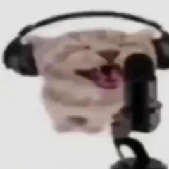 Funky Cat beat