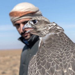 عيضه [ كبريت واحد والف غابه ]