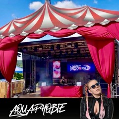 Nicky Intoxique Live @ Aquaphobie Festival Erlenbach