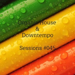 SET MIX ORGANIC HOUSE & DOWNTEMPO SESSIONS #045 BY DJ MARCELO N.