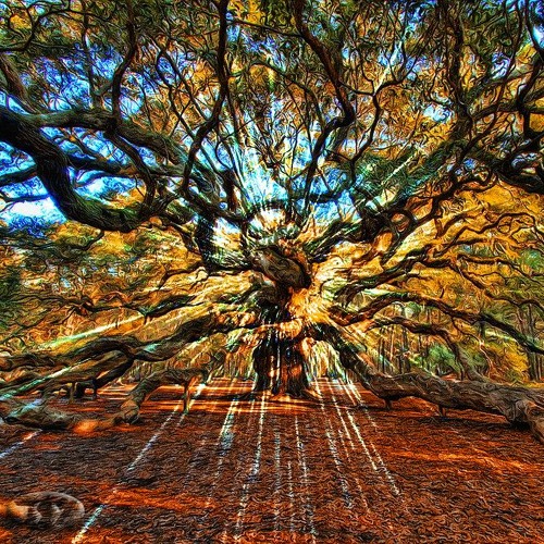 GOATrance (Nitzho) Mix: When Trees Sing