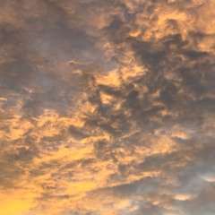 Grand Rising