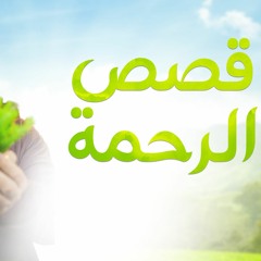 قصص الرحمة 🍃 _ ختمنا بها السلسلة لعل الله يرحمنا 🤲 _ ( دورة علمني رسول الله )  _ م علاء حامد
