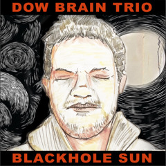 Black Hole Sun