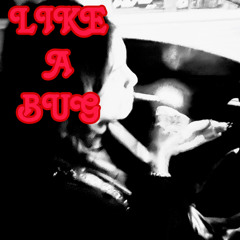 LIKE A BUG
