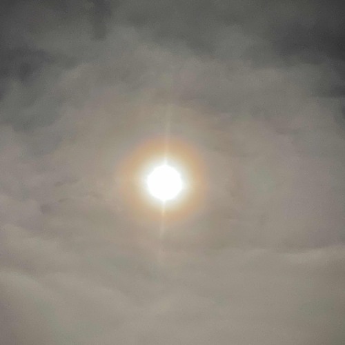 2Sick2Cry & SerpentineNature - Count Me Out