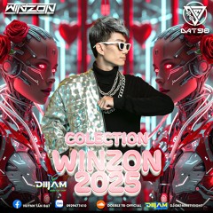 Nonstop - Winzon Collection 2025 ! (DJ Đạt NinetyEight x Winzon)