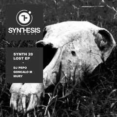 GONCALO M - The Lost World - Synthesis Records