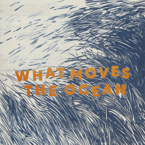 What Moves The Ocean