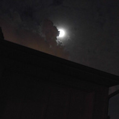 fly me to the moon