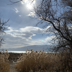 Rewind (flxffybeatz)