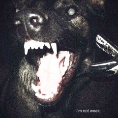 ''im not weak''august 2k25 samples