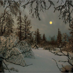 Surprise (Flexistan)