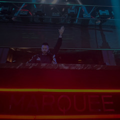 FLY ME TO THE MOON 🚀