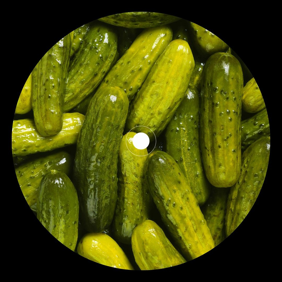Delicast #4 - Lasponge