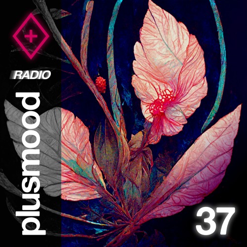 Stream Plusmood RADIO 37 By Plusmood Listen Online For Free On 