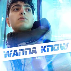 Wanna Know