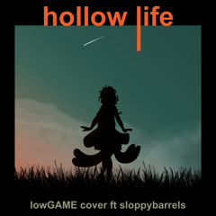 Tritan - Hollow Life (lowGAME Cover ft sloppybarrels)