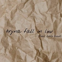 tryna fall in luv (feat. Little Giant)