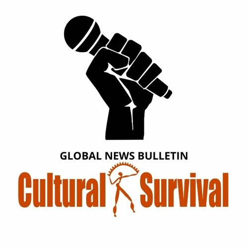 Stream Cultural Survival Global News Bulletin November 2023 by Cultural ...