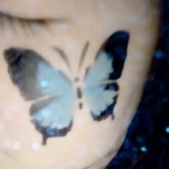 expt:RAine - Asylum Wall