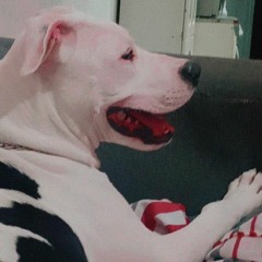 Fng Wéés - ''Evoque'' (Feat. Massaru & Duck) [Official Audio]