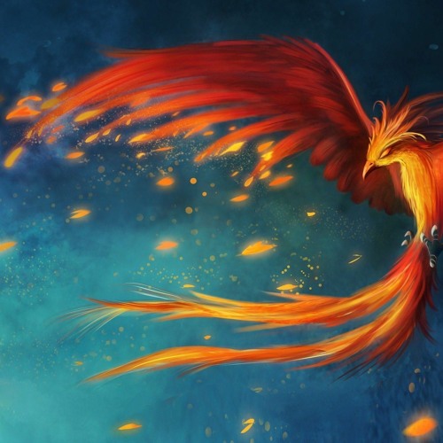 the phoenix - restart from scratch set  (ambient set 1st part)