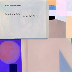012 - Josh Caffé: Liquid Love