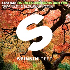 On Trees and Birds and Fire (Sam Feldt & Bloombox Remix Edit)