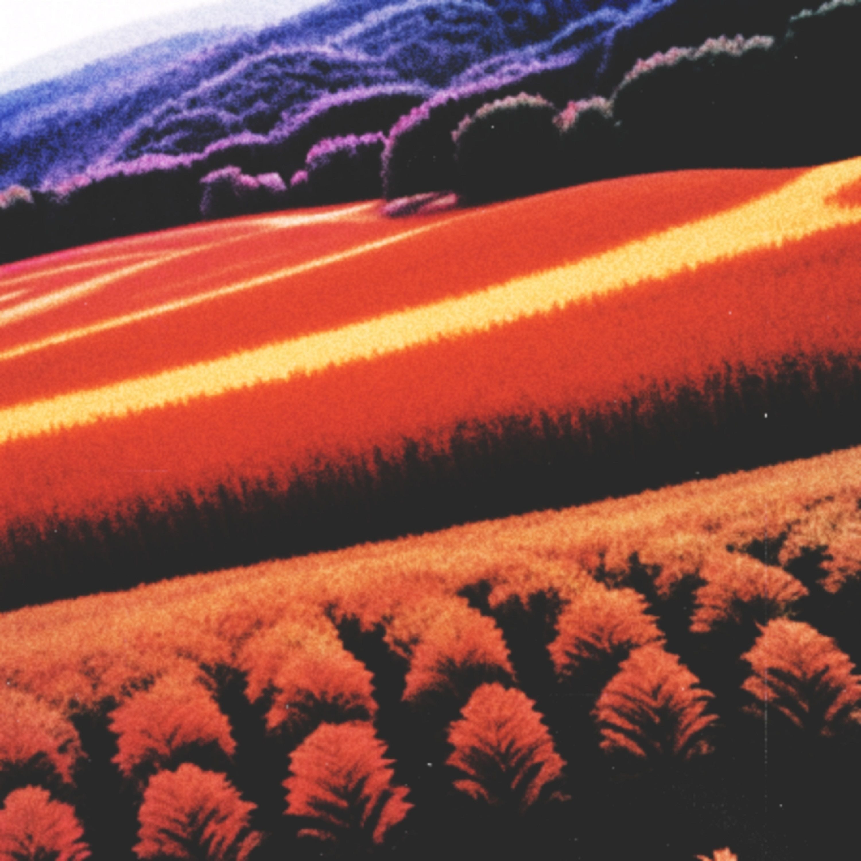 Lone Wolf Rising - Autumn episode artwork