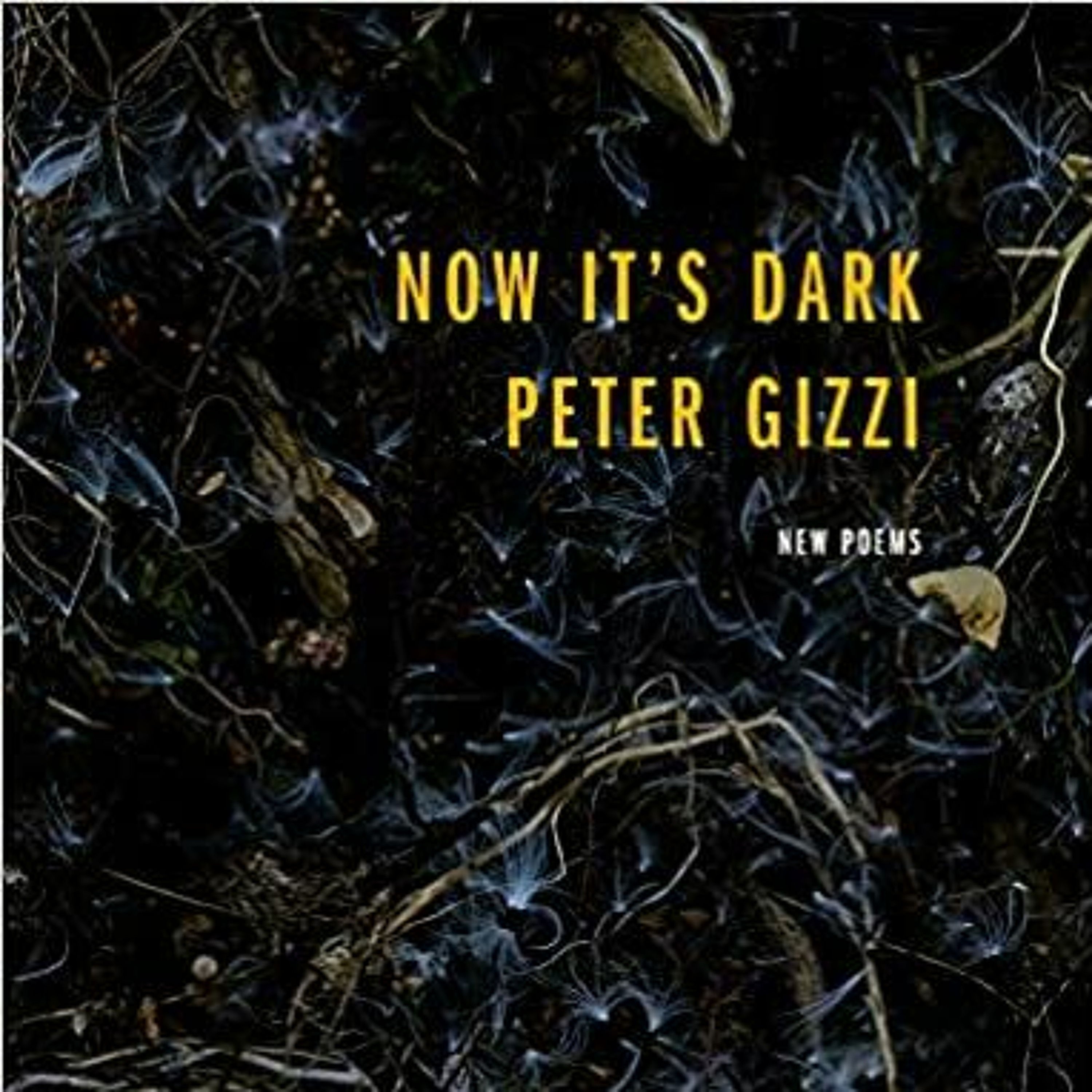 Now It's Dark by Peter Gizzi episode artwork