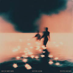 Levin Liam - such mit mir (PLVTO REMIX)
