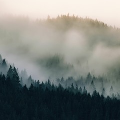 Olympic Peninsula