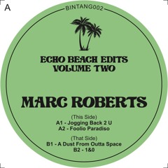 MARC ROBERTS - 'A DUST FROM OUTTA SPACE'