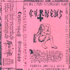 𝔊𝔯𝔬𝔩𝔩𝔣𝔯𝔦𝔢𝔡 - 𝔊𝔯𝔢𝔞𝔱 𝔊𝔦𝔞𝔫𝔞 𝔖𝔦𝔰𝔱𝔢𝔯𝔰