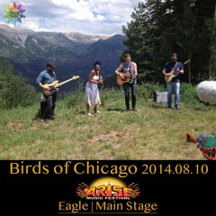 Birds of Chicago 2014.08.10 Live @ Arise Music Festival | Eagle Main Stage