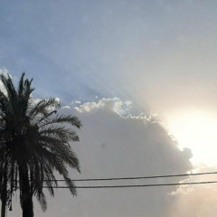 mikham bargardam ☁️ - numb boy