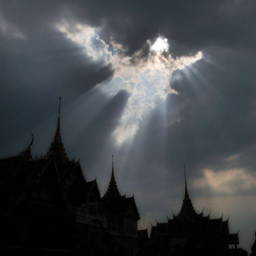 thru the wind (bloomcr4zy)