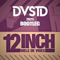 Niels De Vries - 12 Inch (DVSTD Bootleg 2025)